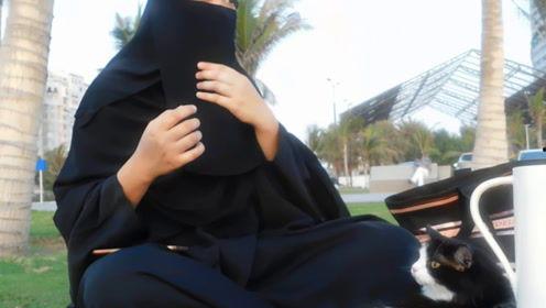 娱乐吃瓜君辛巴,娱乐吃瓜界的风云人物